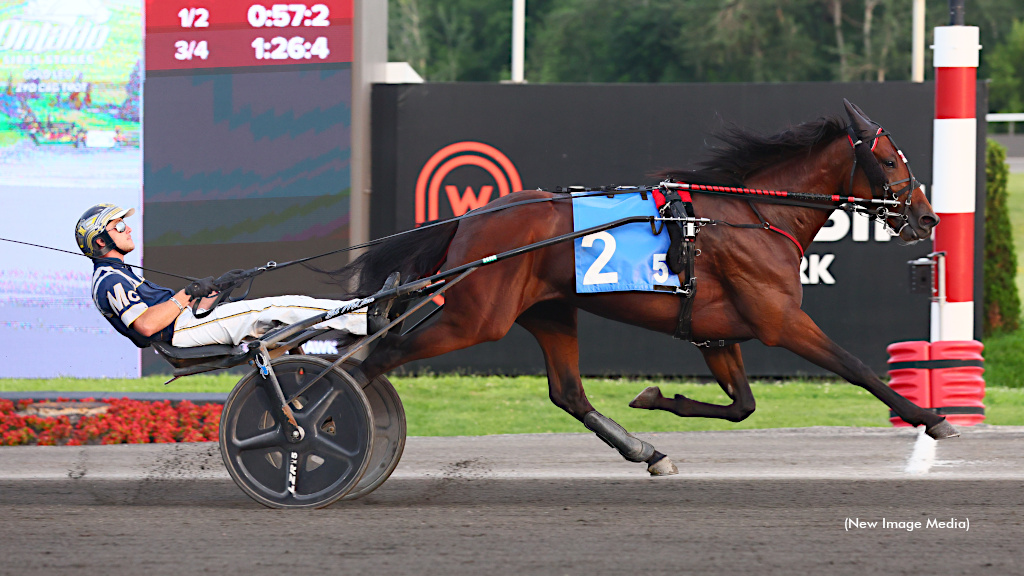 In The Black Gets The Gold For Rookie Colt Trotters