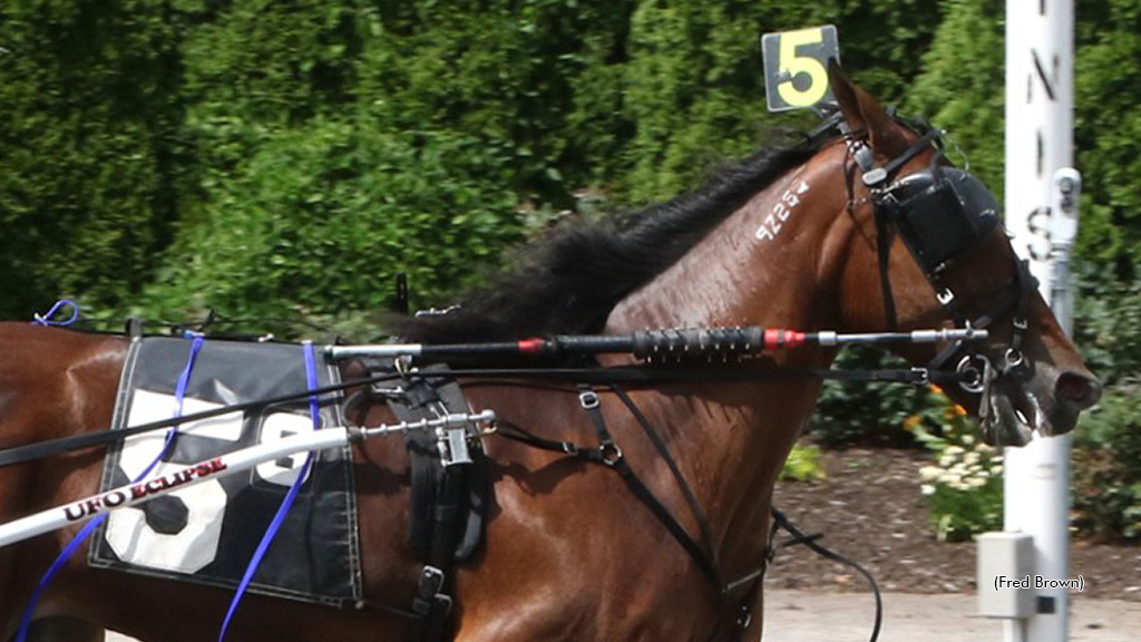 Liberty Style Romps In New York Sire Stakes