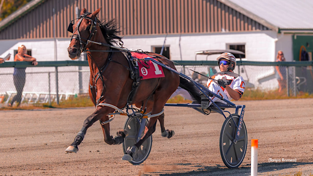 The Battle For The Throne At Northside Downs