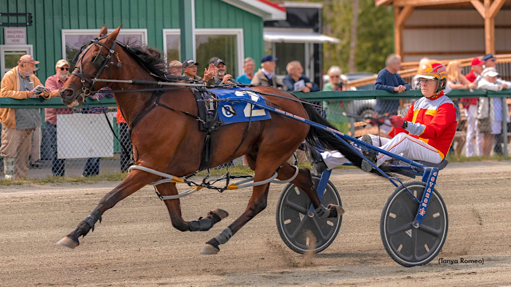 Mappos Lion Impresses In Northside Winners Over Pace