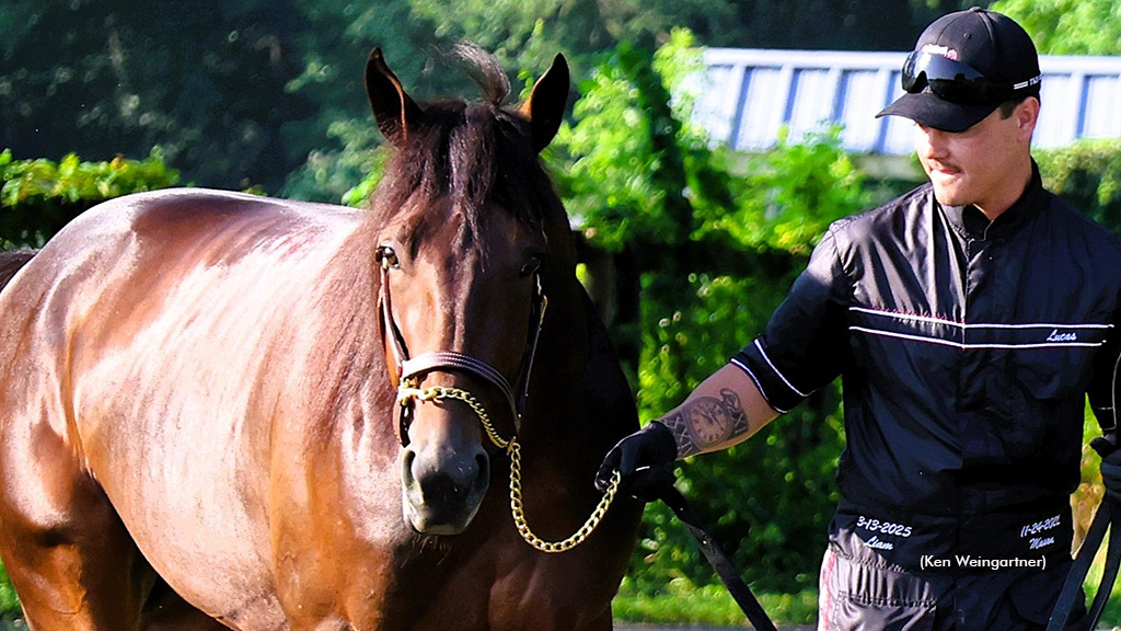 Zeron And Wallin Chase Hambletonian-Oaks History