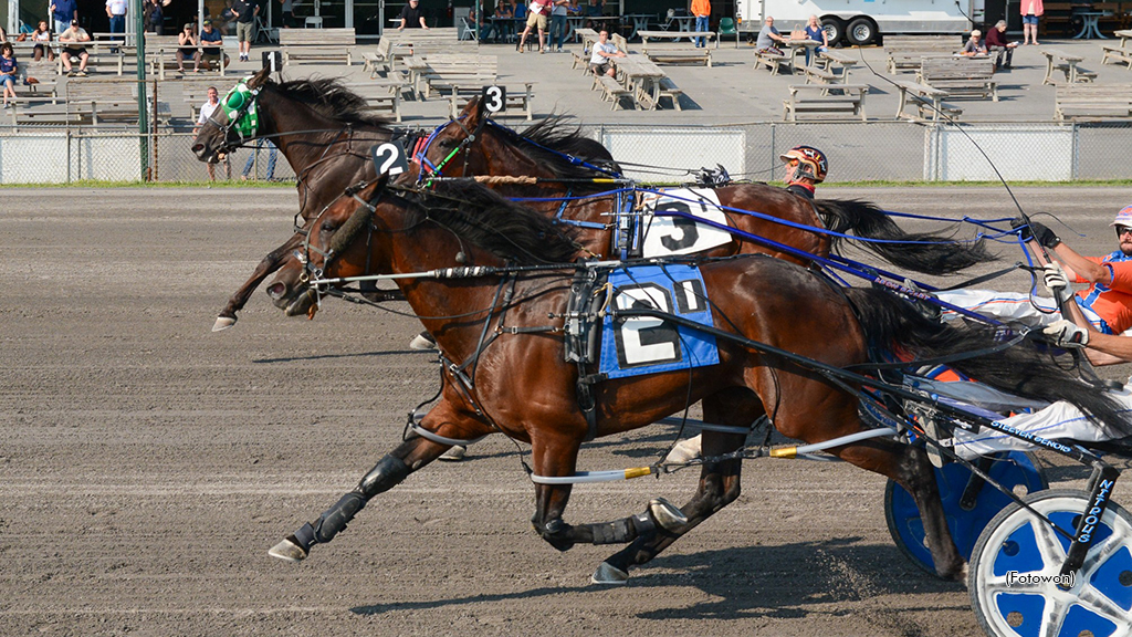 Mcbardle In Tune At Vernon