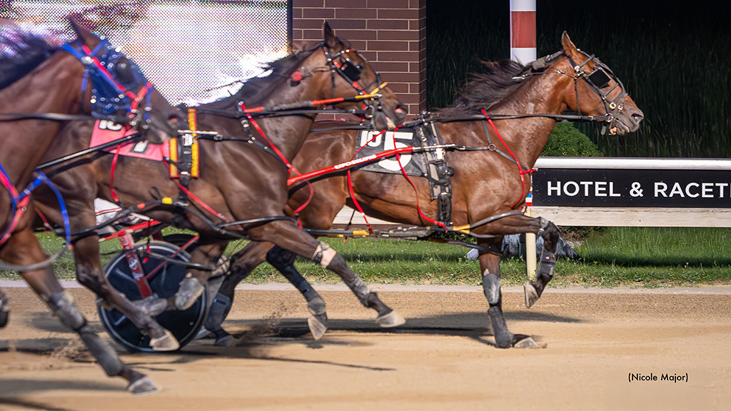 Mother Mary Magnificent In Aces Mares Open