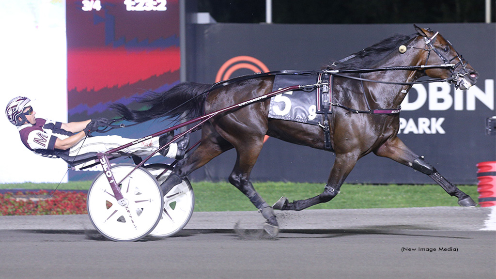 Osceola Awesome In Mohawk Preferred