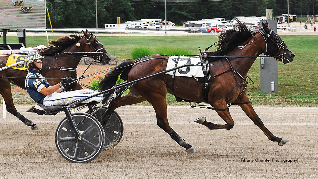 Field Set For Dream Of Glory Stakes