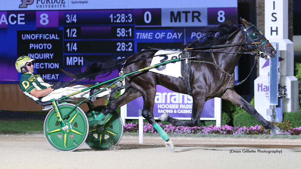 Premier Bluebird Migrates South For Trotting Derby Test