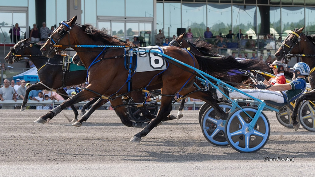 Prince Hal Hanover winning at The Meadows