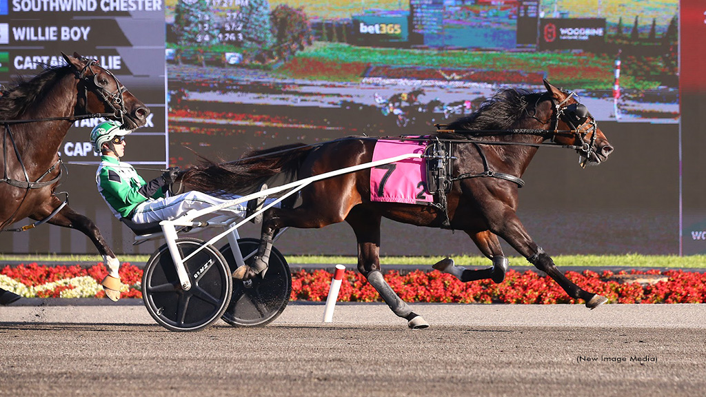 Royal Captain Sets Sail In Millard Farms At Mohawk