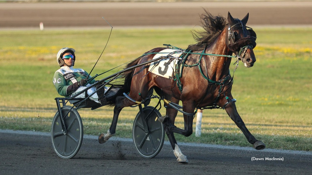 Rookie Fillies Shine In P.E.I. Colt Stakes Golds