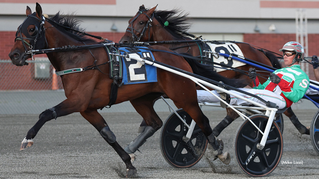 Daley Duo Completes NYSS Exactor