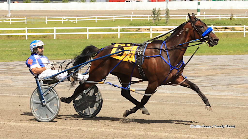 Shark Week Vicious Once Again