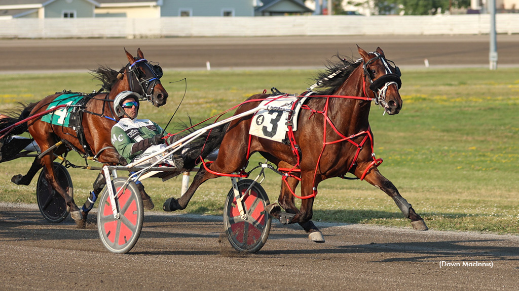 Pacing Colts Stay Perfect In P.E.I. Colt Stakes Golds