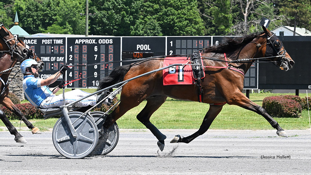 Up Helly AA winning at Saratoga Raceway