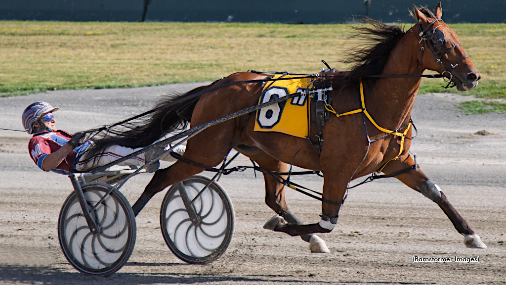 Whichwaytothebeach Romps In Buffalo Debut