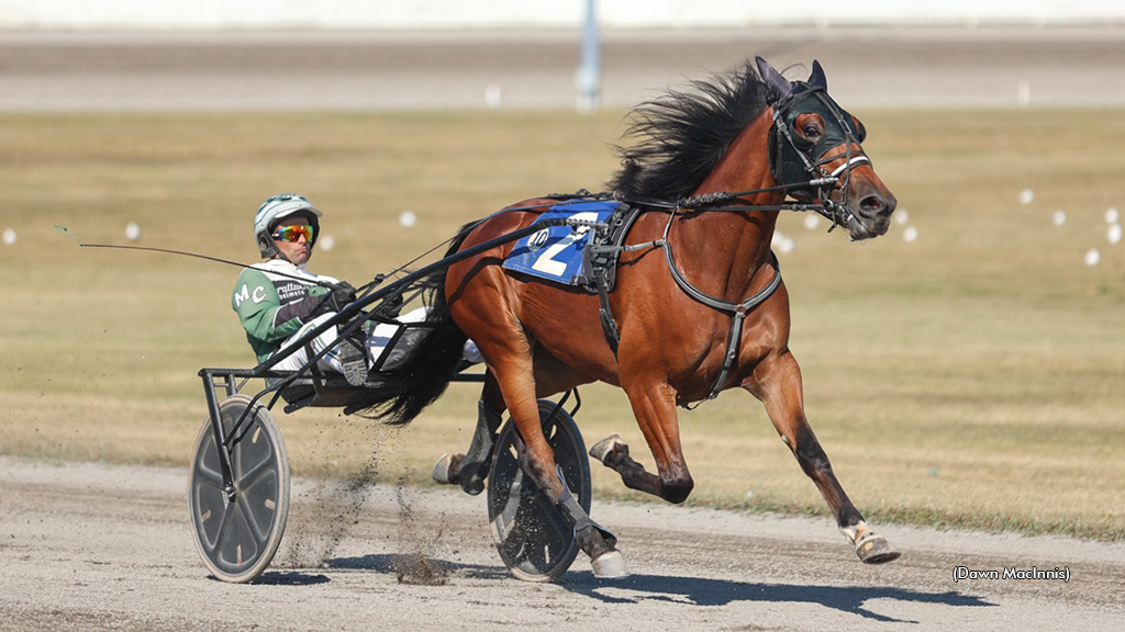 Bless Me Father Breaks All-Age Trotting Record At Summerside