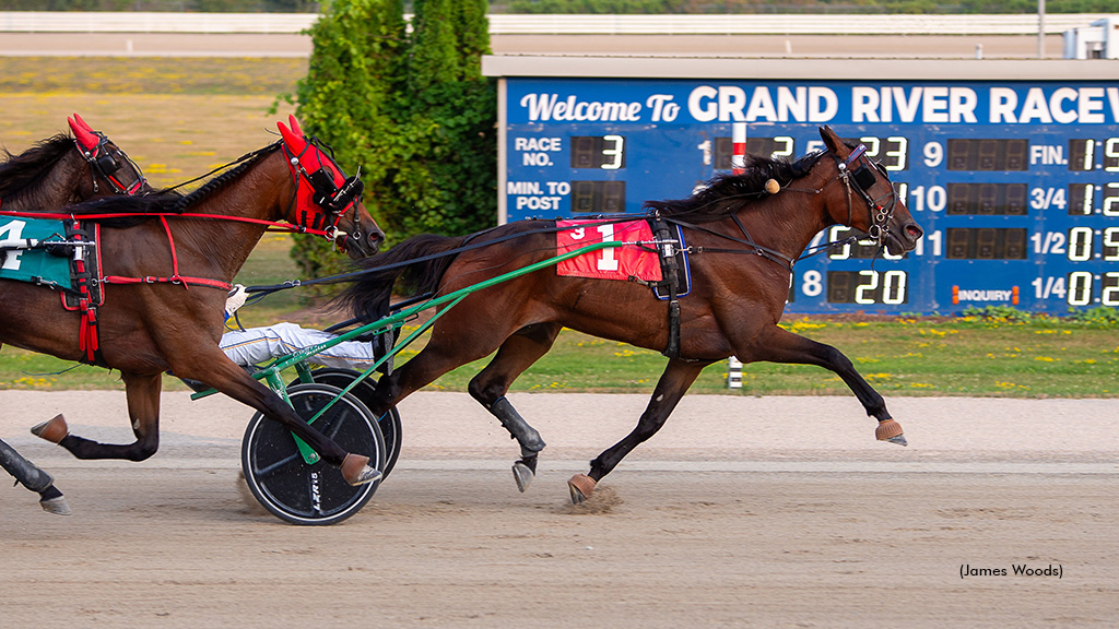Blue Rare Best In Rookie Filly Grassroots