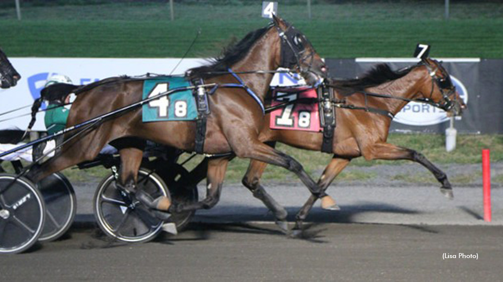 Busy Miss Lissy S Maintains Perfection In Kindergarten