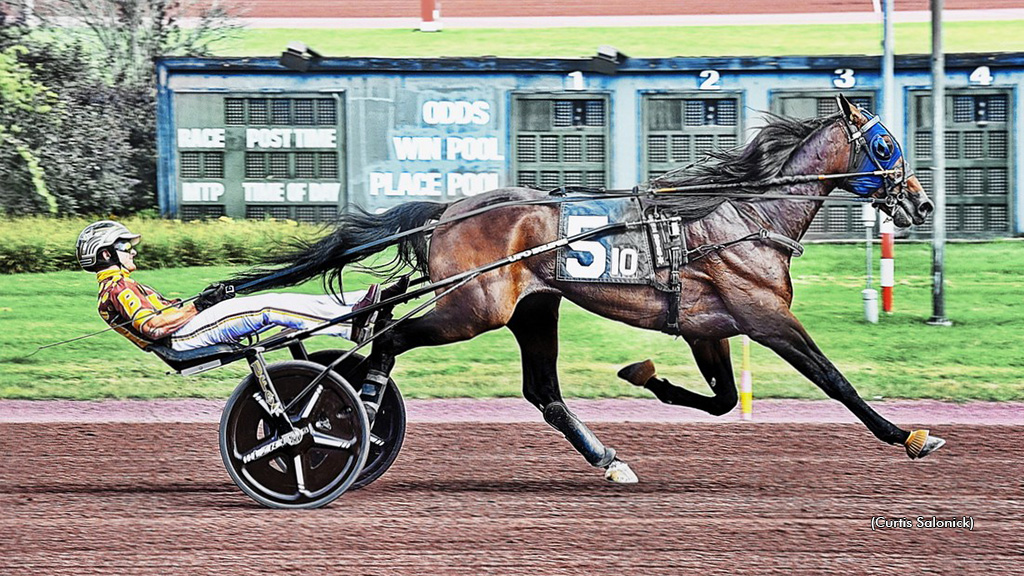 Daiquiri Hanover Dynamite In Pocono Feature