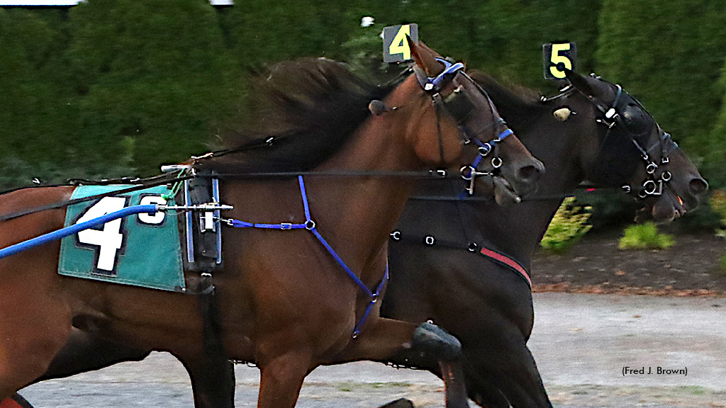 Duly Resolved Holds On In Top Tioga Trot