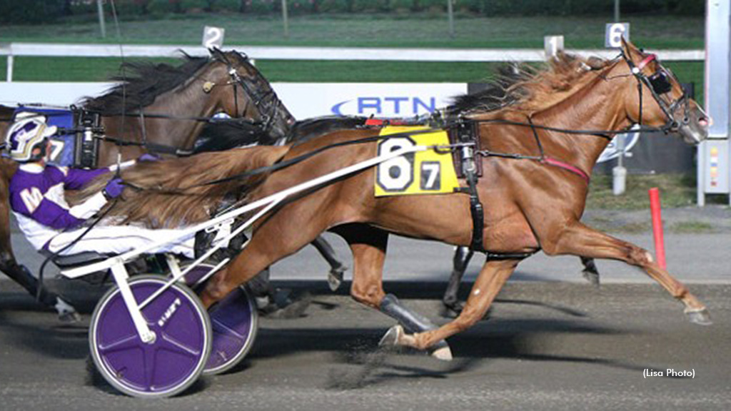 Elista Hanover