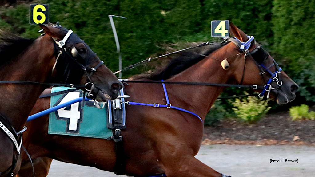 Enola Stands Alone In Tioga Open Trot 