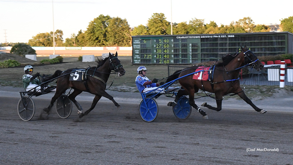 Fight Song Slays Buckhead Ridge; Saulsbrook Rolo Rolls On