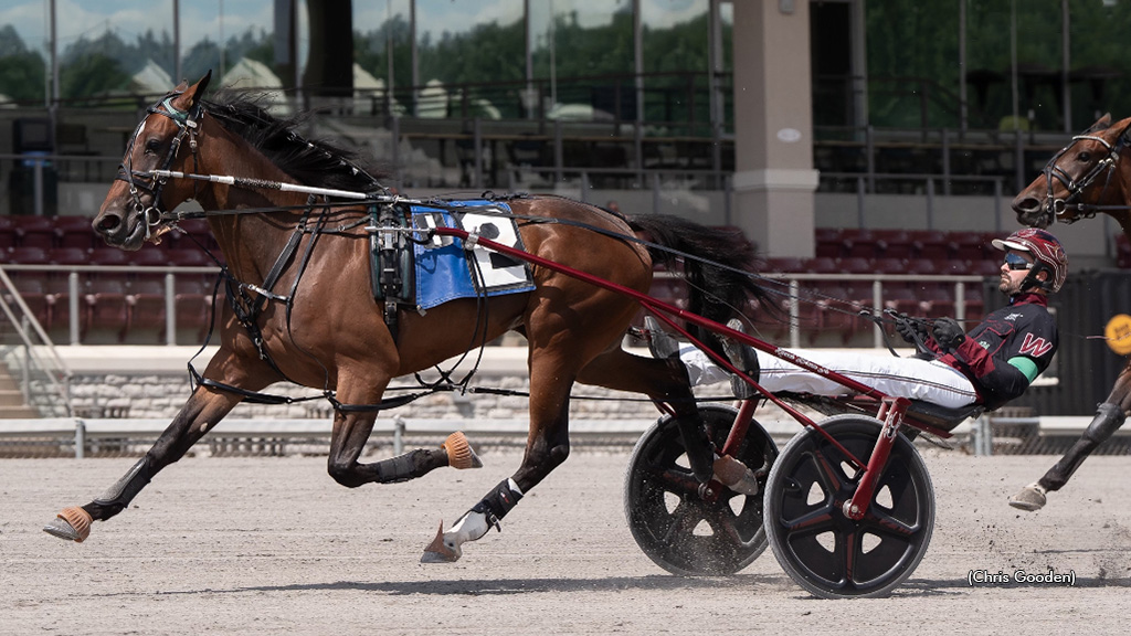 Ginger Tree Lex Wins Sixth Straight In Meadows PASS