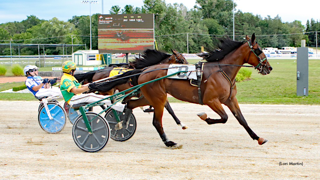 Great Trickster All Business In Balanced Image