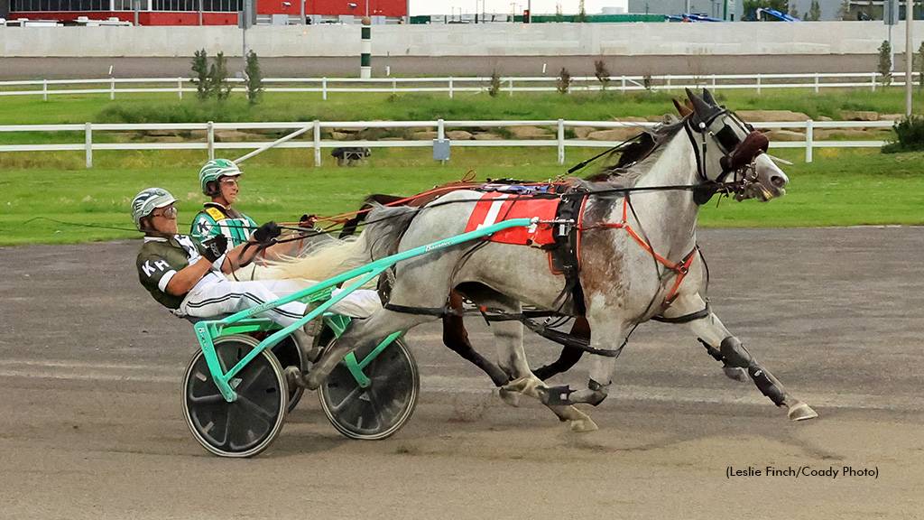 Grey Sea Takes Preferred; Six For Hennessy