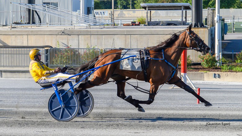 Incaseyoudidntknow Best Again At Harrington