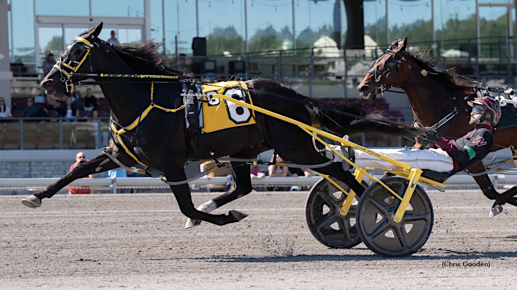 Little Brown Jug Top 10 - Week 5