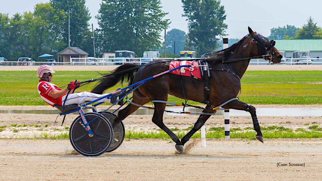 Macapelo Seelster Cruises To Dresden Track Record