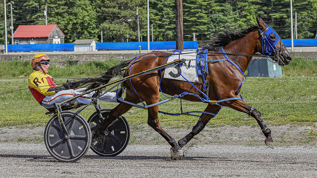 Massive Speed winning at First Tracks Cumberland