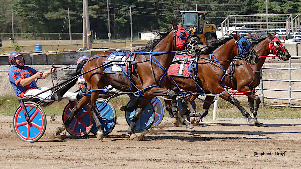 Massive Speed Survives Sire Stakes Squeaker