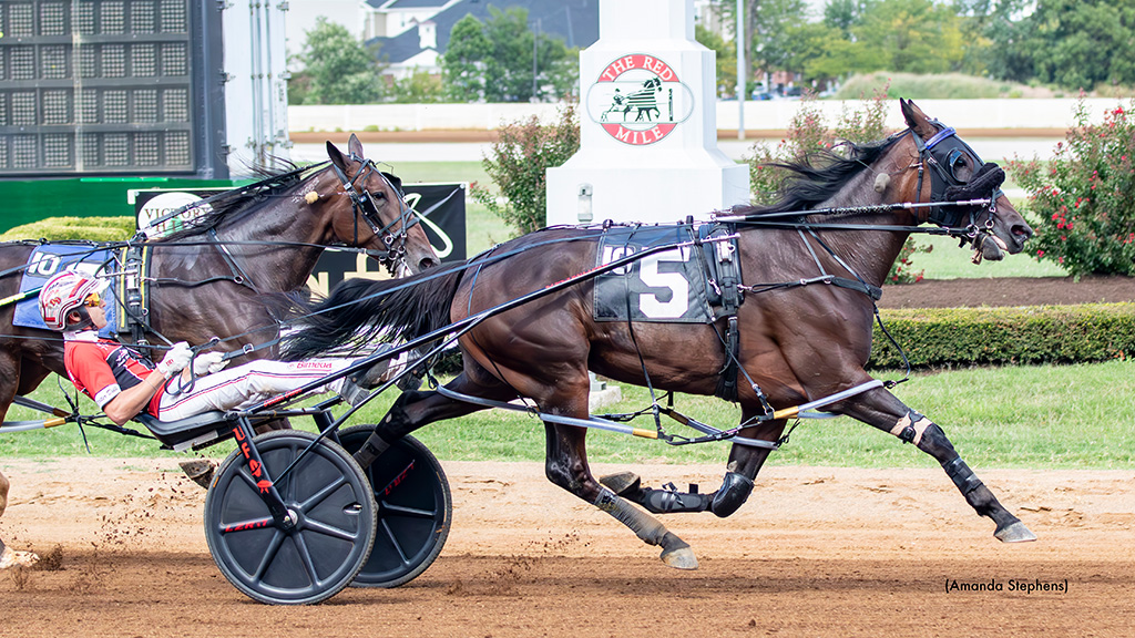Miki And Minnie Still No. 1 In Harness Racing Poll