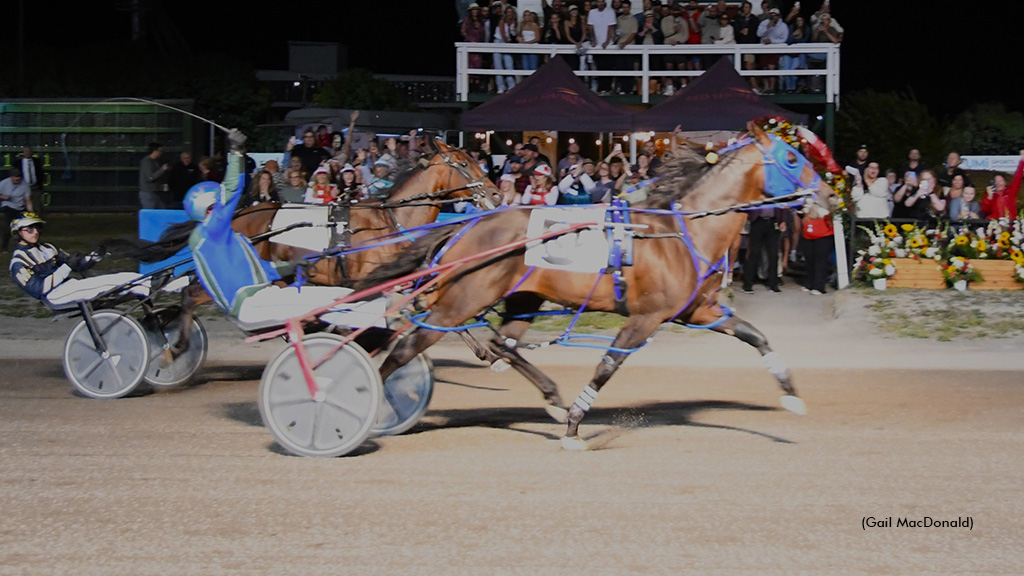 Miki Shan N Wins Gold Cup And Saucer 66
