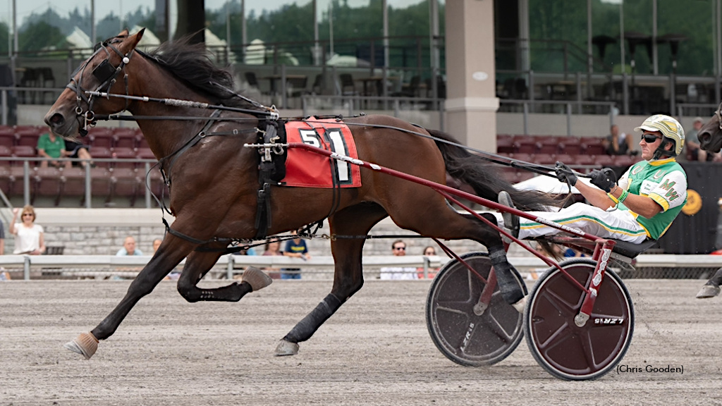 Speedy Mr Big Spender Set For Breeders Crown Elim