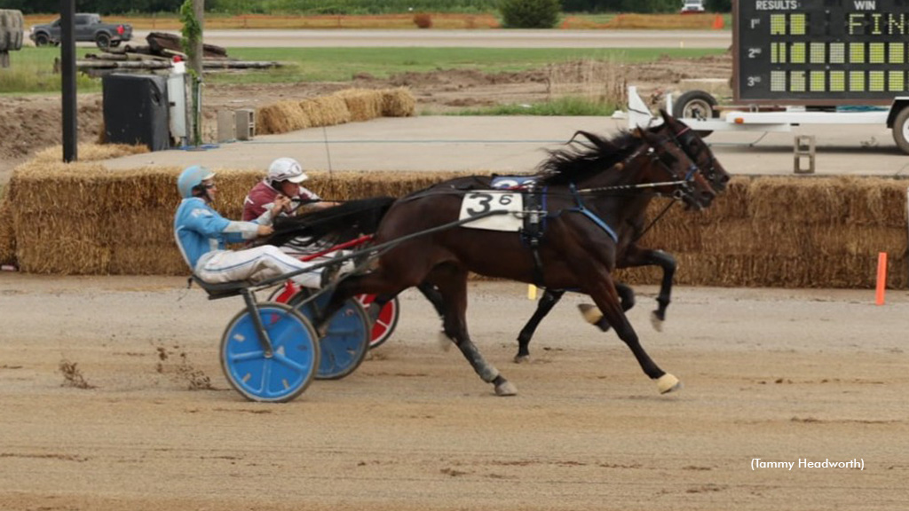 Seven Straight For New Plan Stan In Dead Heat