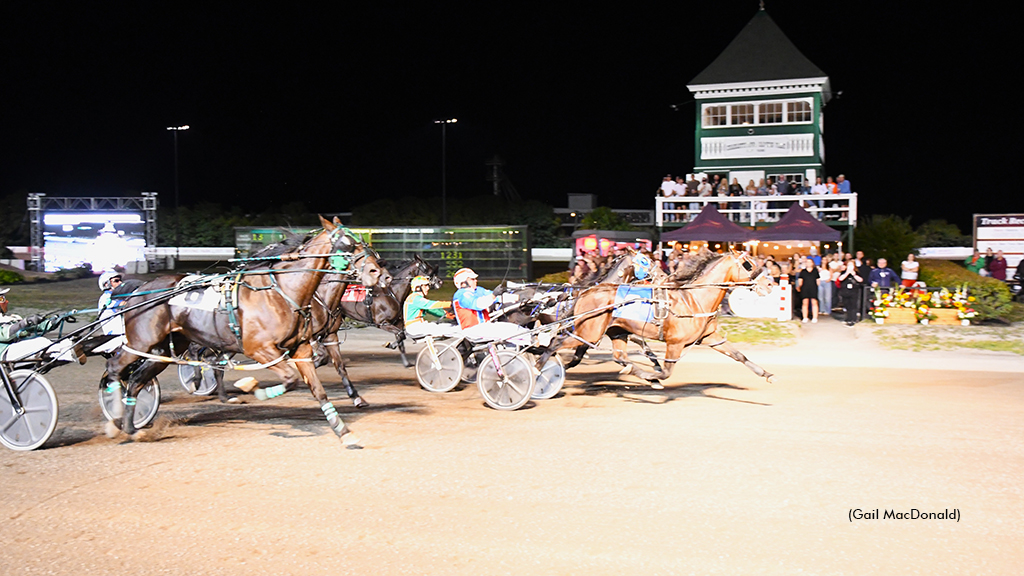 Nuttin But Finesse In Gold Cup & Saucer Consolation