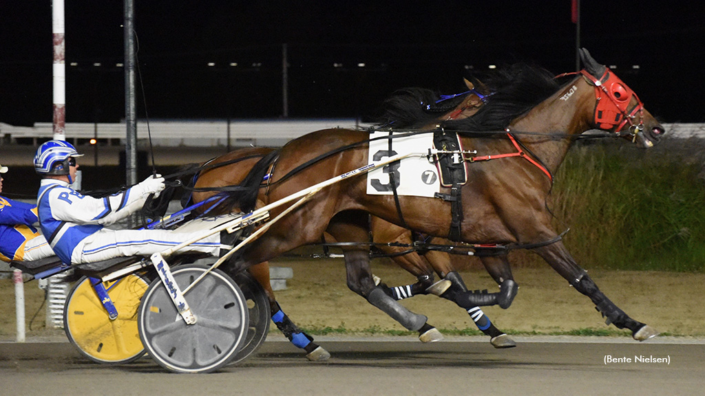 Rose Run Why Not Steps Up, Scores At Rideau