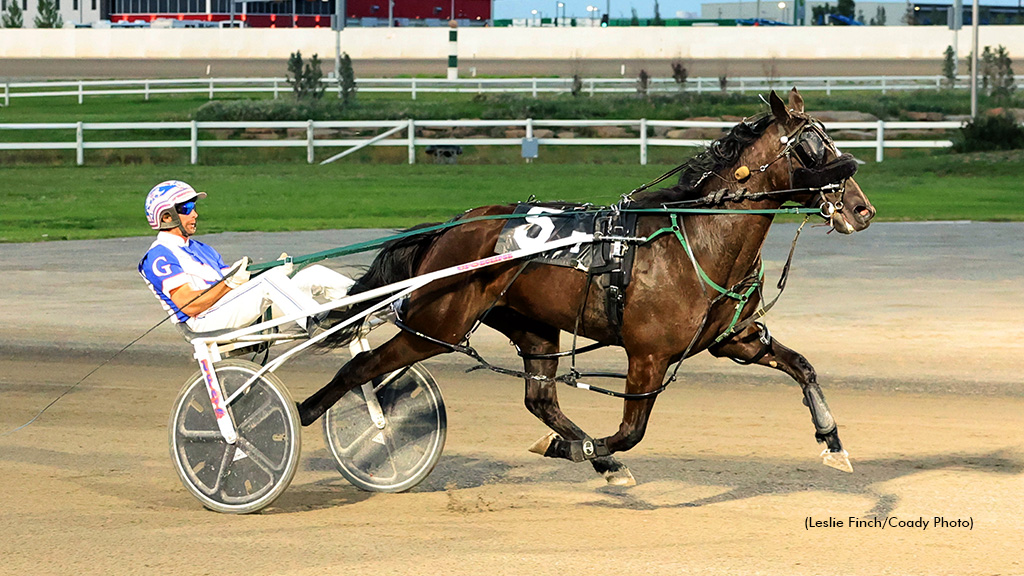 Ruler Of Dragons Stays Unbeaten In Century Casinos Pace