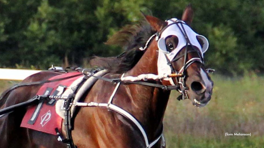 Graffam Grabs Five At Plainridge Thursday