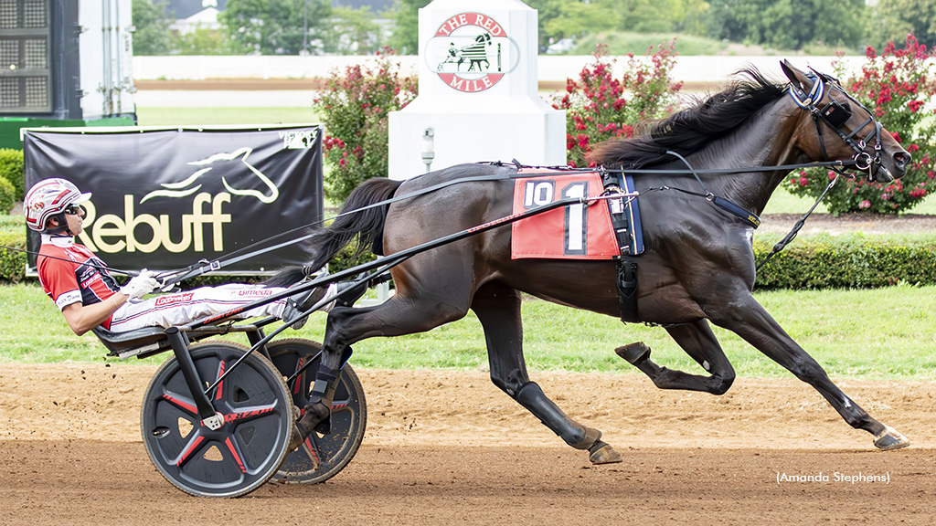 Setyoursightshigh Stays Hot In Kentucky Sire Stakes