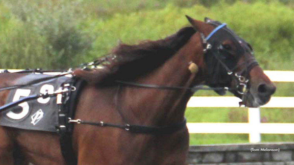 Cecere And Greathorse Sweep Plainridge Open Exactor