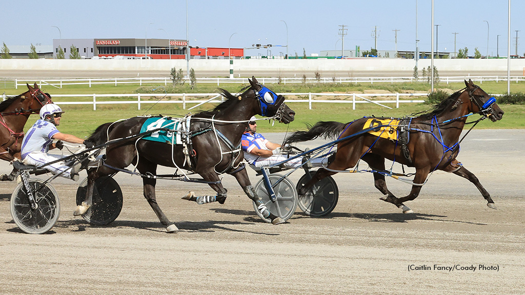 Seven Straight For Shark Week; Two Triples On Closing Day