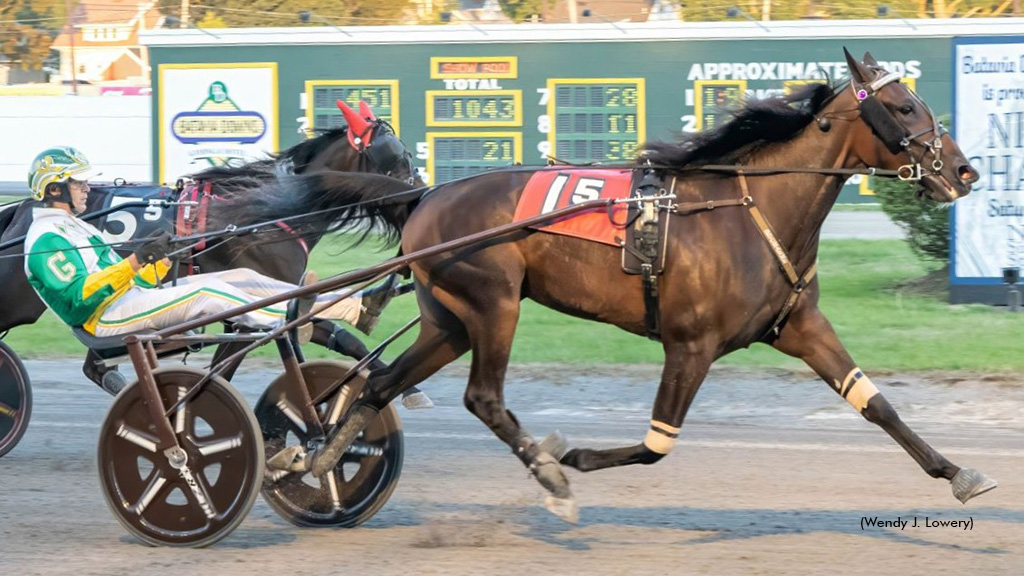 Sharp Seven On Point In Batavia New York Sire Sakes