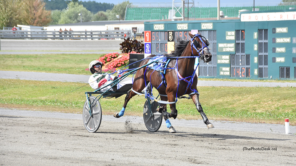 Silver Majesty Reigns Again In Trophée des Éleveurs