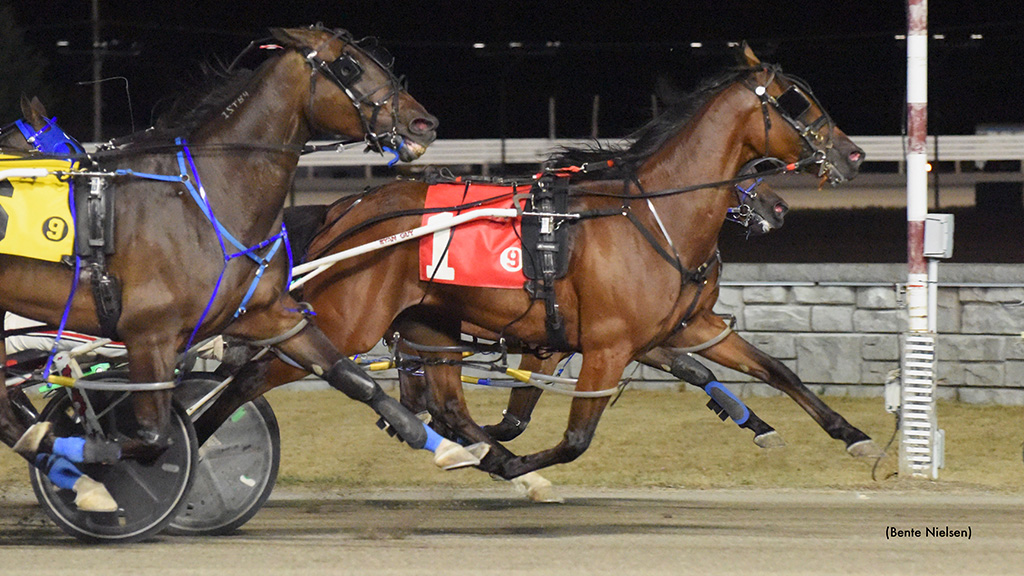 Stonebridge Hermes Sets Career Mark In Rideau Preferred