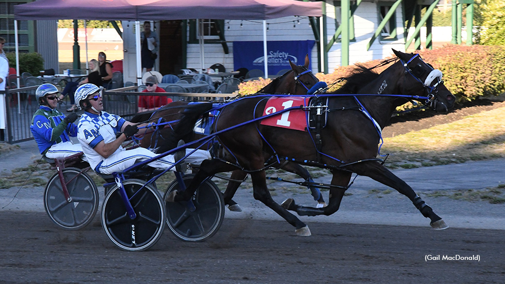 Tobins Brownie Takes P.E.I. Colt Stakes Graduate Final