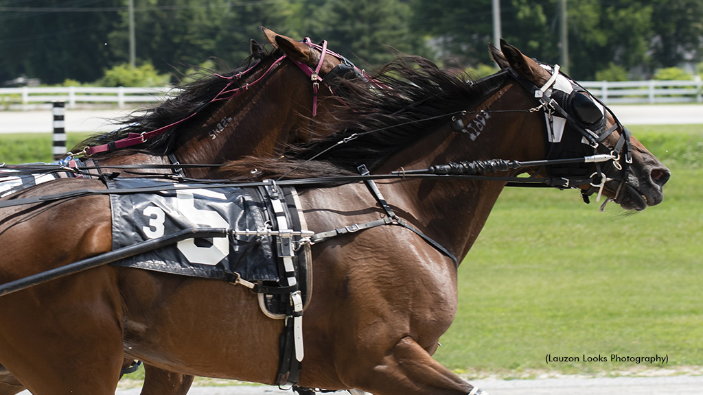 Price Triples On Opening Day At Leamington